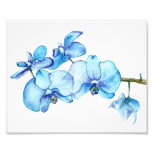 Blue Orchid Botanical Print