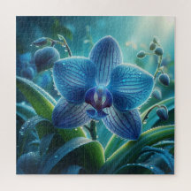 Blue Orchid Floral