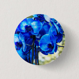 Blue orchids 3 cm round badge
