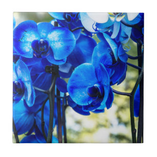 Blue orchids ceramic tile