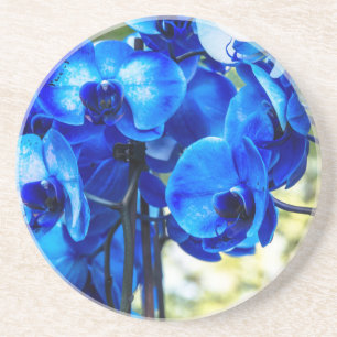 Blue orchids coaster