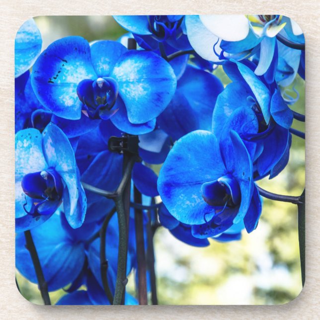 Blue orchids coaster (Front)