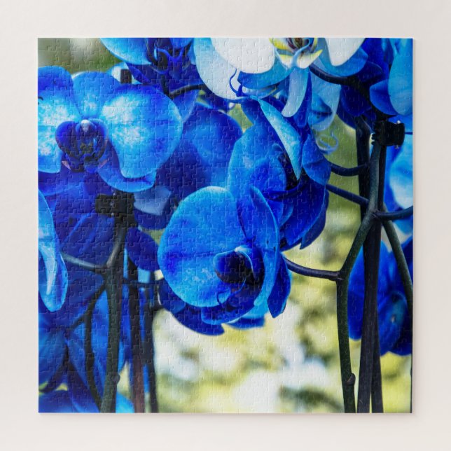 Blue orchids jigsaw puzzle (Vertical)