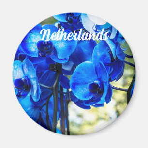Blue orchids magnet