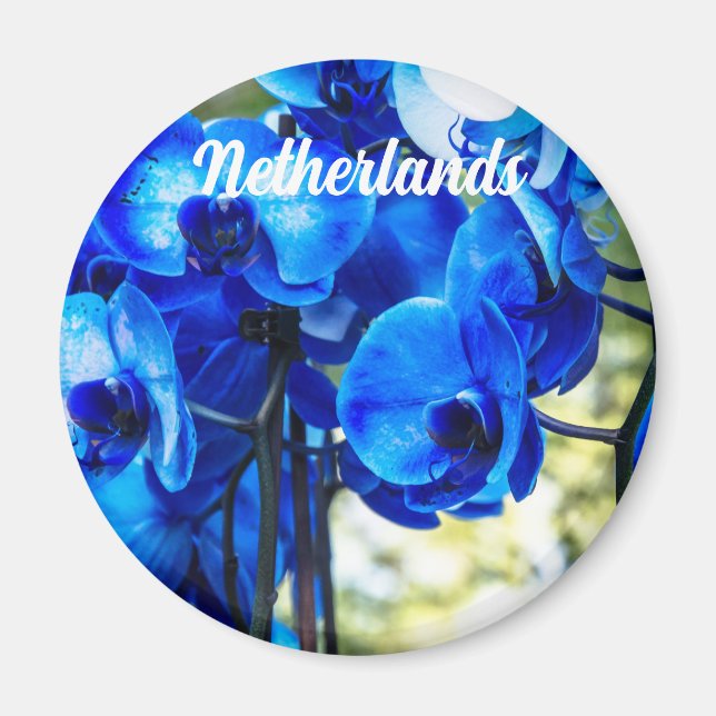 Blue orchids magnet (Front)