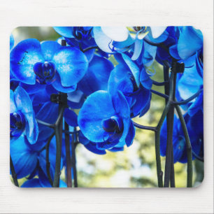 Blue orchids mouse pad