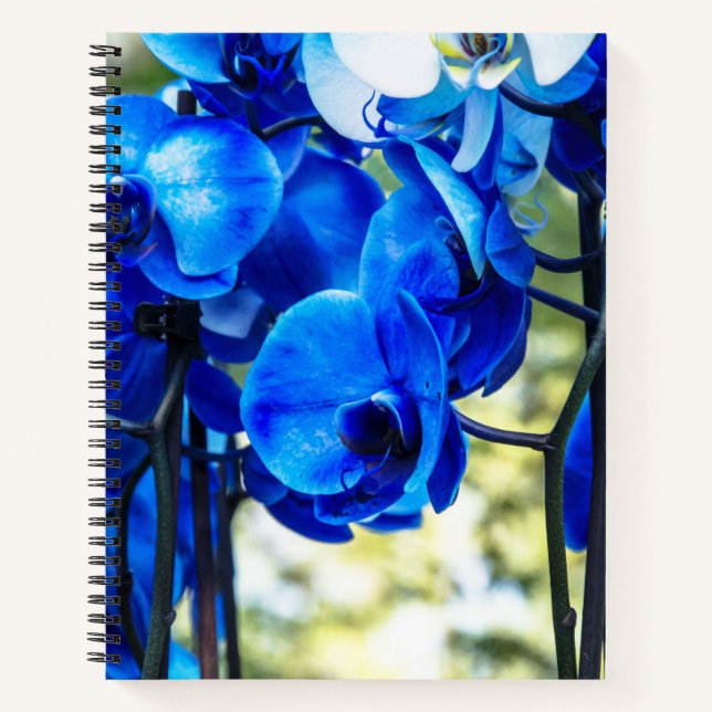 Blue orchids notebook (Front)