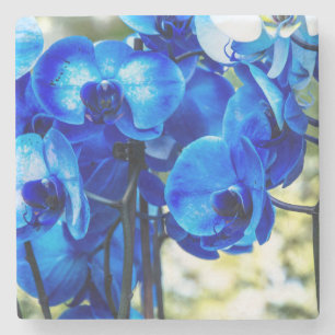 Blue orchids stone coaster