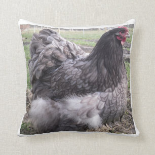 Blue Orpington Cushion, chicken, hen, rooster Cushion