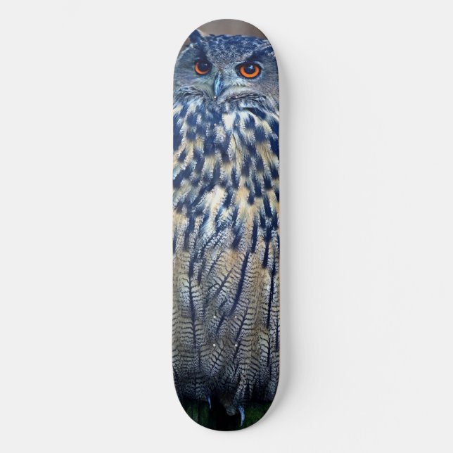 Blue Owl Skateboard Deck (Front)