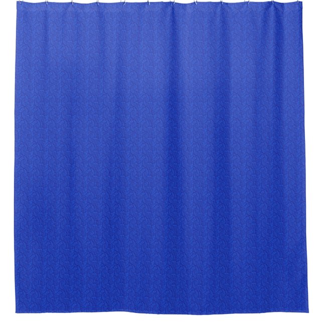 Blue paisley shower curtain (Front)