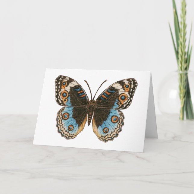 Blue Pansy Butterfly Card (Front)