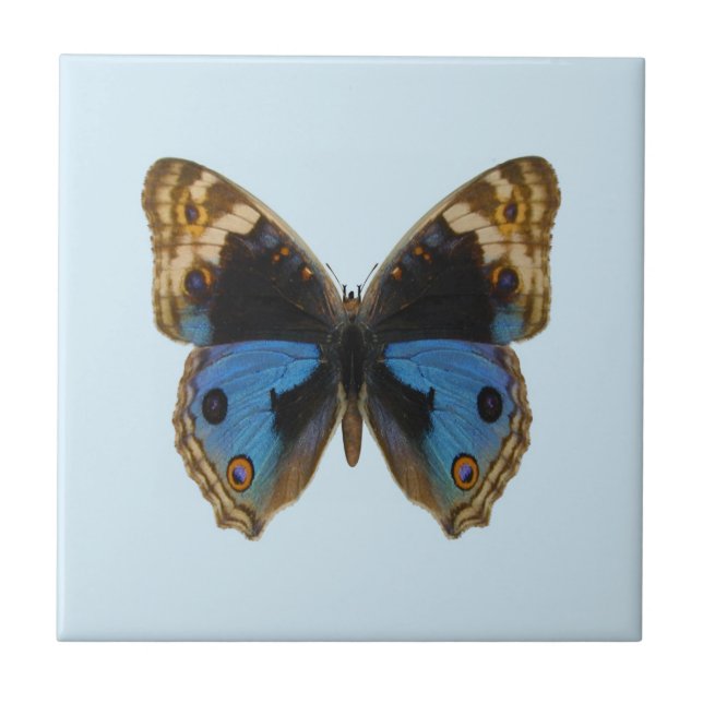Blue Pansy Butterfly Ceramic Tile (Front)
