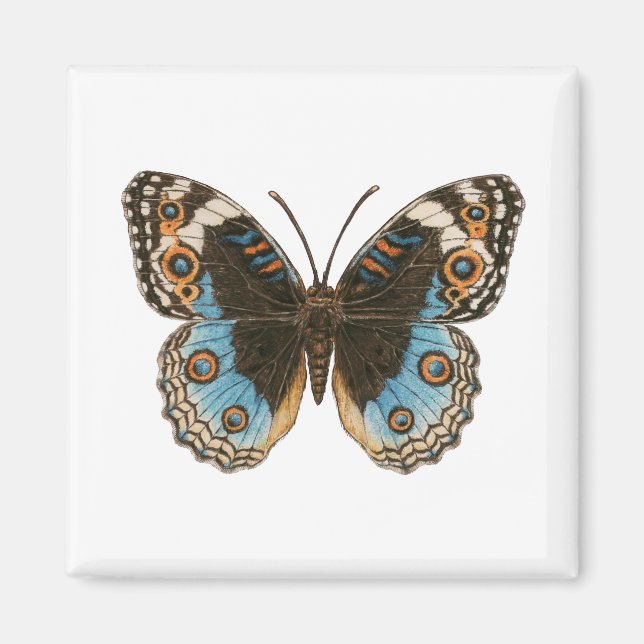 Blue Pansy Butterfly Magnet (Front)