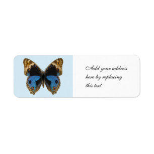 Blue Pansy Butterfly Return Address Label