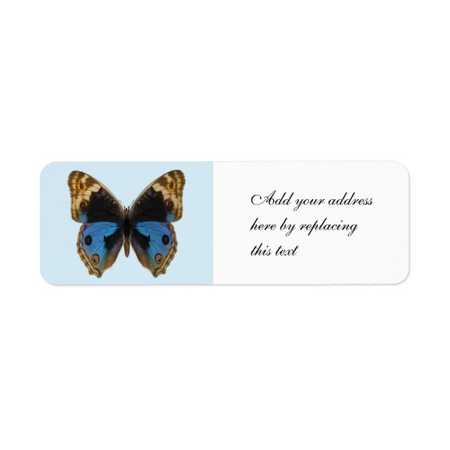 Blue Pansy Butterfly Return Address Label (Front)