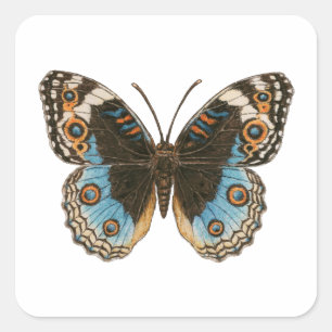 Blue Pansy Butterfly Square Sticker