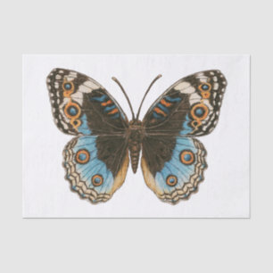 Blue Pansy Butterfly Tissue Paper