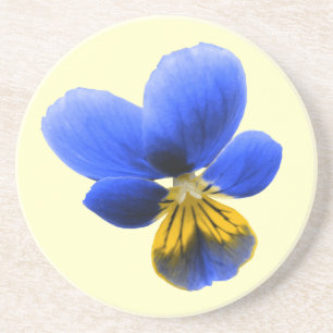 Blue Pansy Coasters