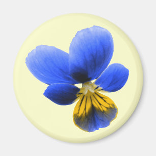 Blue Pansy Magnet