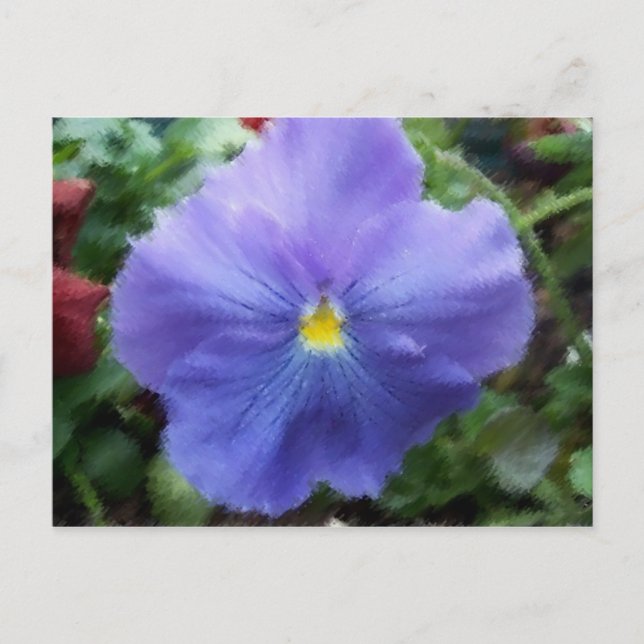 Blue Pansy Postcard (Front)