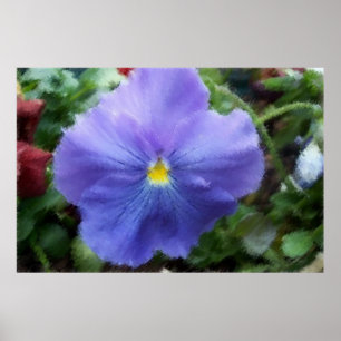 Blue Pansy Soft Sketch Poster