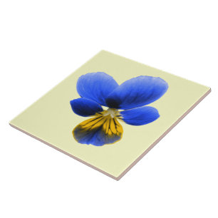 Blue Pansy Tile