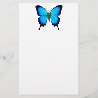 Blue Papilio Ulysses Butterfly Stationery