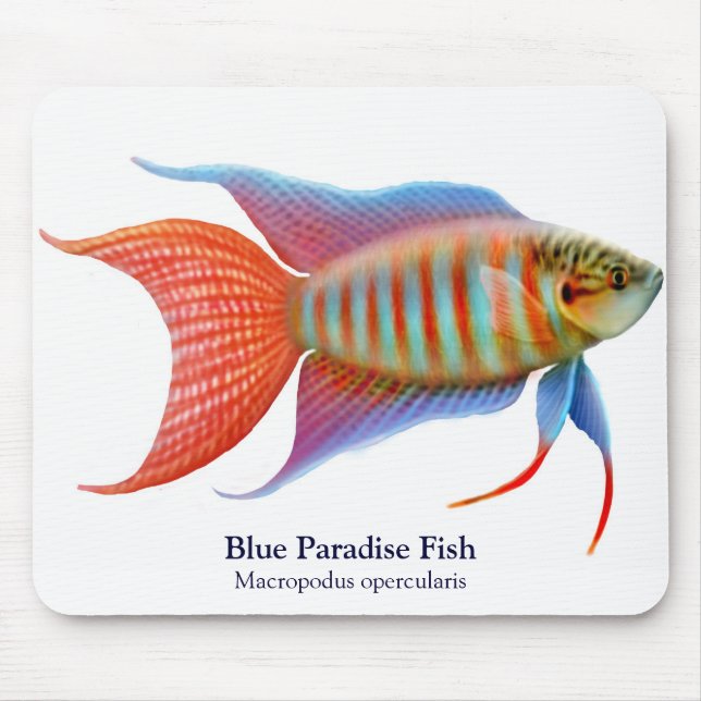 Blue Paradise Fish Mousepad (Front)