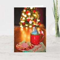 Blue Parakeet Christmas Folded Greeting Card