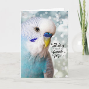 Blue Parakeet Favourite Peeples Thinking of You Card