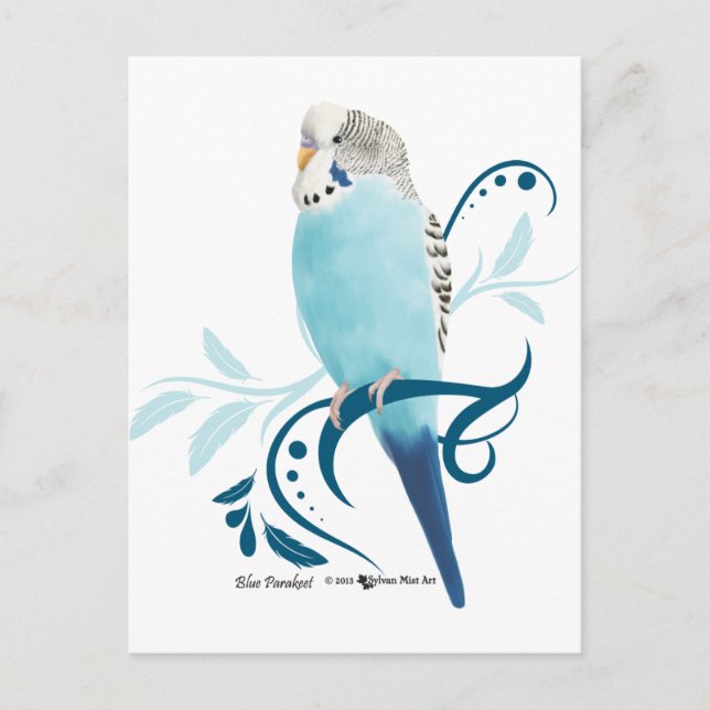 Blue Parakeet Postcard (Front)