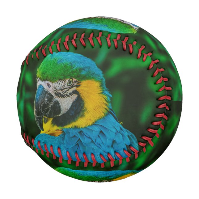 Blue parrot baseball (Front Right)