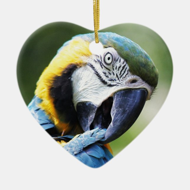 Blue Parrot Ceramic Tree Decoration (Front)