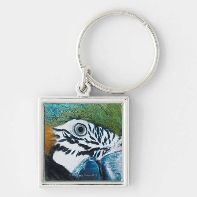 Blue Parrot Key Ring (Front)