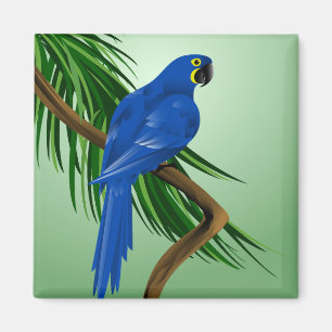 Blue Parrot Magnet