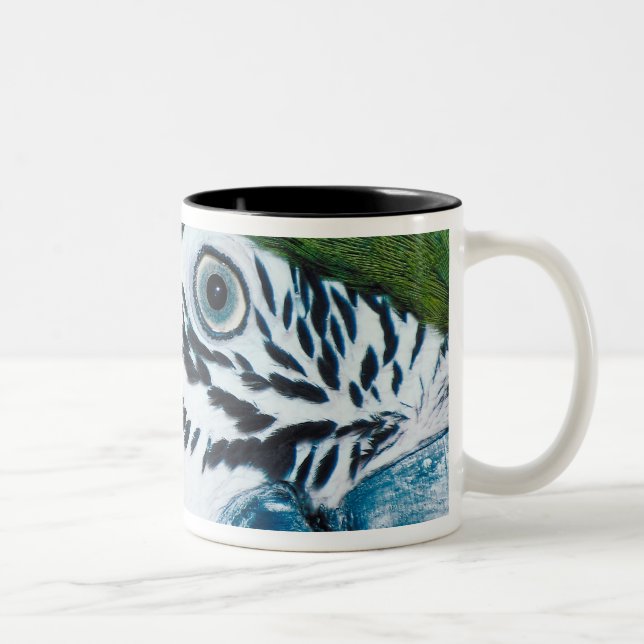 Blue Parrot Two-Tone Coffee Mug (Right)