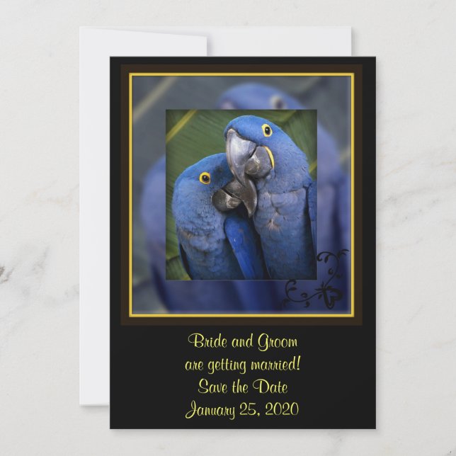 Blue Parrot Wedding Save The Date (Front)