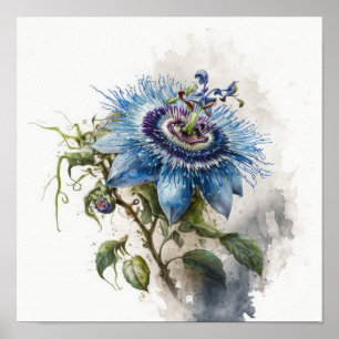 Blue Passion Flower Art Print Poster