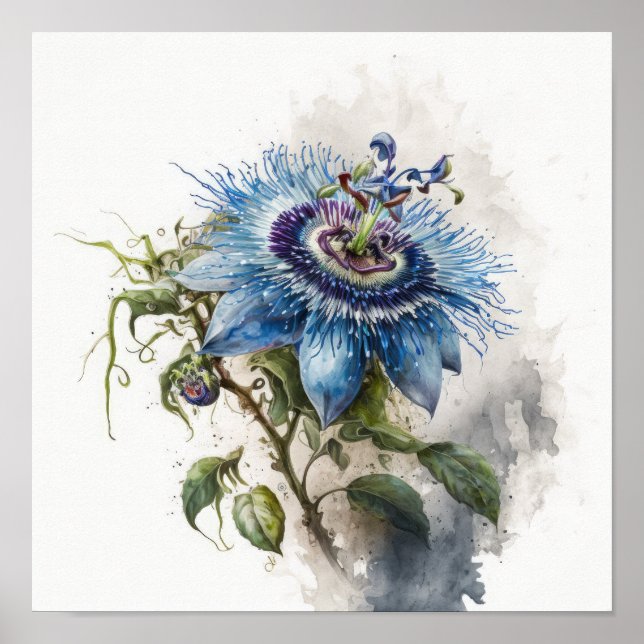 Blue Passion Flower Art Print Poster (Front)