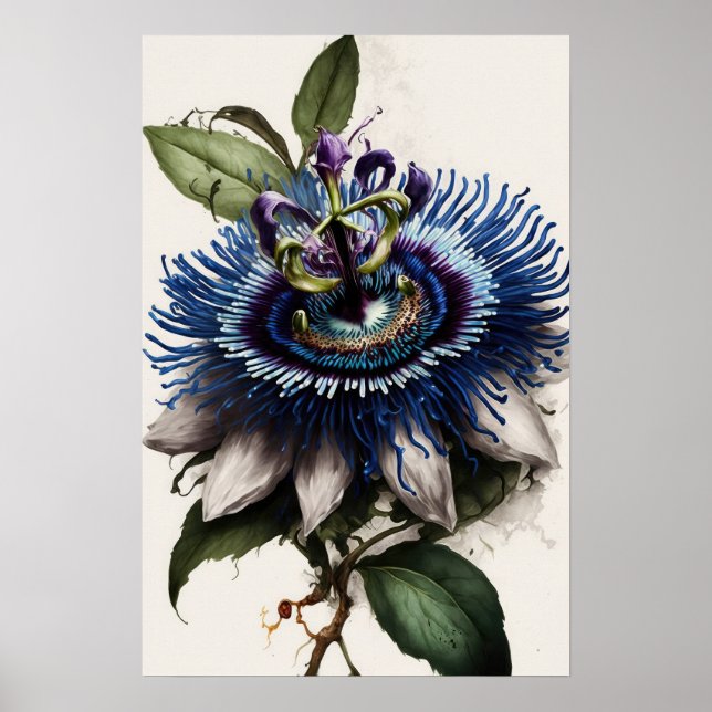 Blue Passion Flower Art Print Poster (Front)