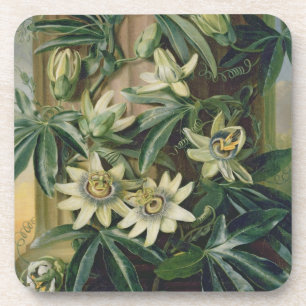 Blue Passion Flower for the 'Temple of Flora' by R Coaster