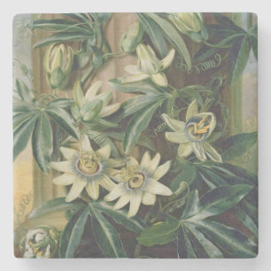 Blue Passion Flower for the 'Temple of Flora' by R Stone Coaster