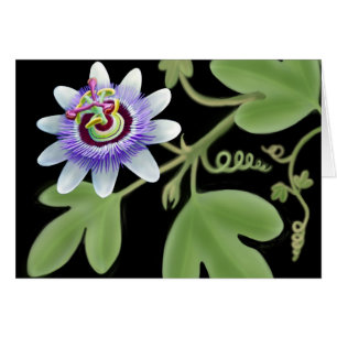 Blue Passion Flower Vine Card
