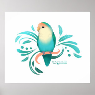 Blue Peach Faced Lovebird Poster
