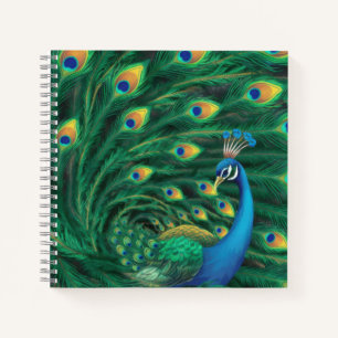 Blue Peacock Bird Notebook