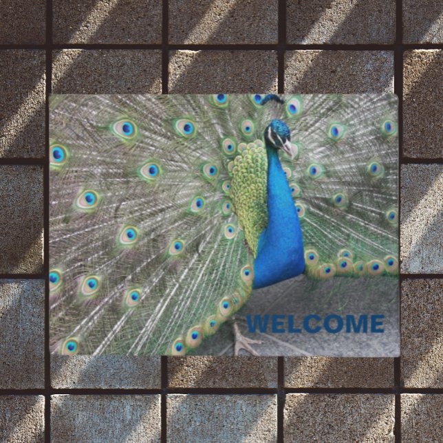 Blue Peacock Fantail Feathers Welcome Doormat (In Situ)