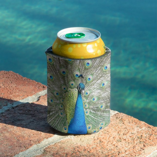 Blue Peacock Feather Plumage Can Cooler (In Situ Pool)