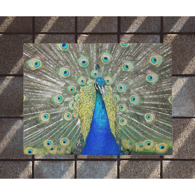 Blue Peacock Feather Plumage Doormat (In Situ)