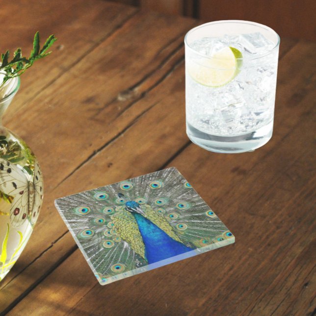 Blue Peacock Feather Plumage Glass Coaster (In Situ Glass)
